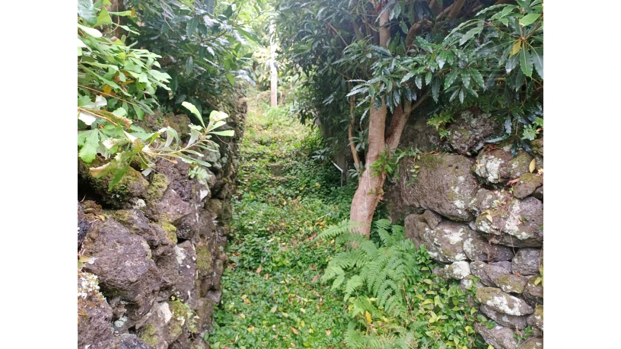 Moradia T2 para Venda em São Roque do Pico Foto 12