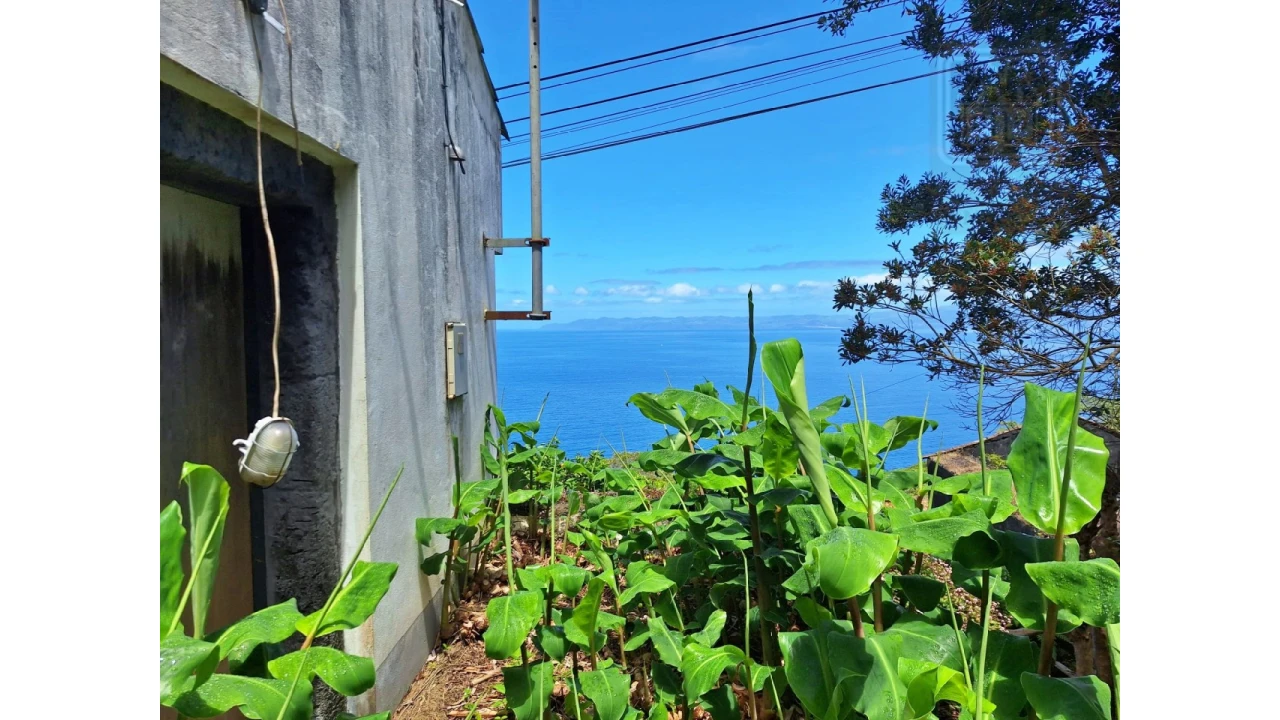 Moradia T2 para Venda em São Roque do Pico Foto 1