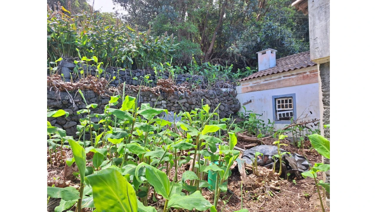 Moradia T2 para Venda em São Roque do Pico Foto 9