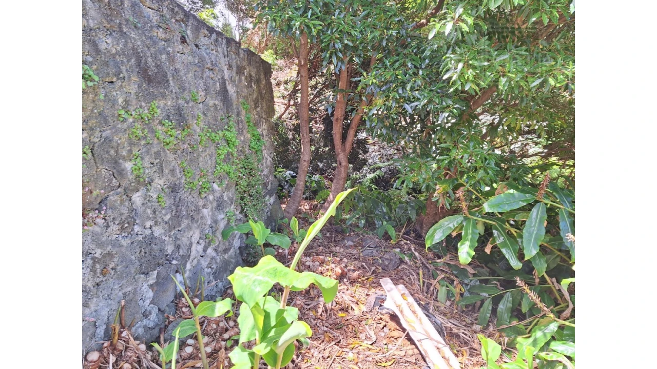 Moradia T2 para Venda em São Roque do Pico Foto 15