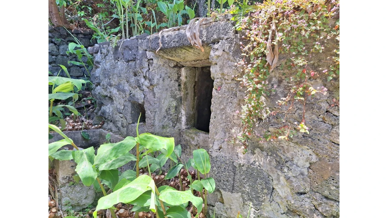 Moradia T2 para Venda em São Roque do Pico Foto 16