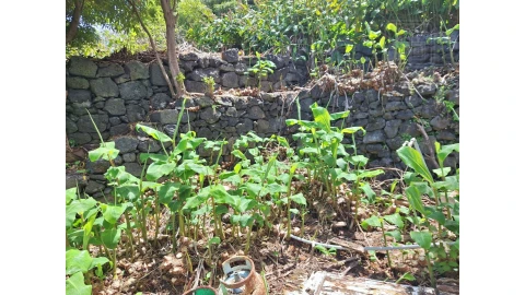 Moradia T2 para Venda em São Roque do Pico
