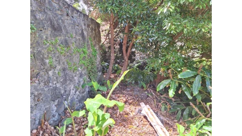 Moradia T2 para Venda em São Roque do Pico