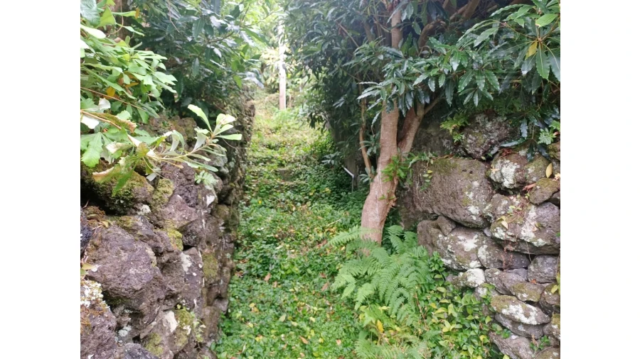 Moradia T2 para Venda em São Roque do Pico Foto 12