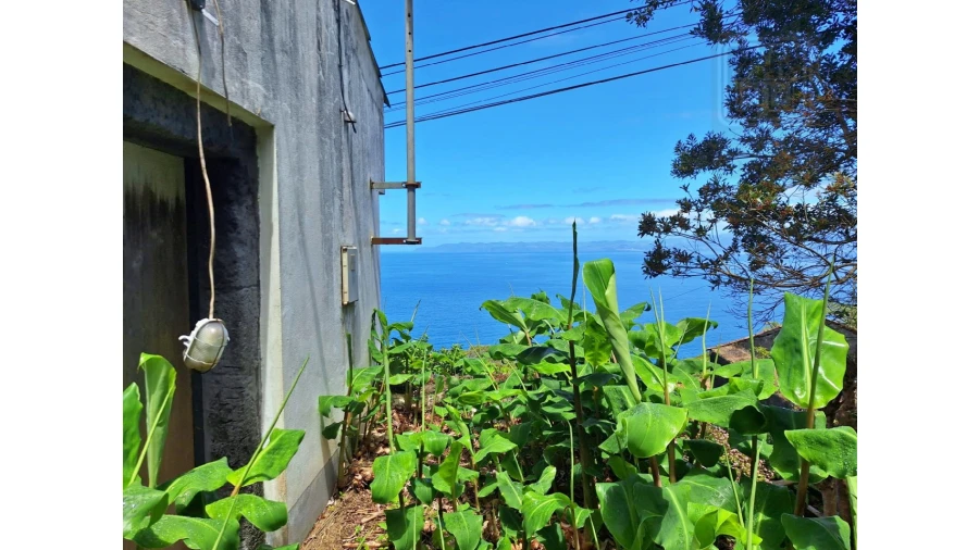 Moradia T2 para Venda em São Roque do Pico Foto 1