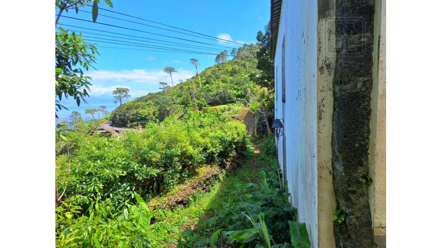 Moradia T2 para Venda em São Roque do Pico Foto 3