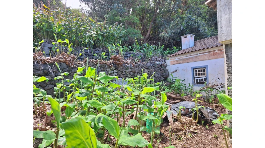 Moradia T2 para Venda em São Roque do Pico Foto 9