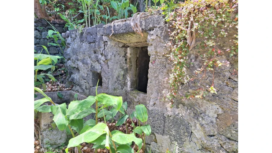 Moradia T2 para Venda em São Roque do Pico Foto 16