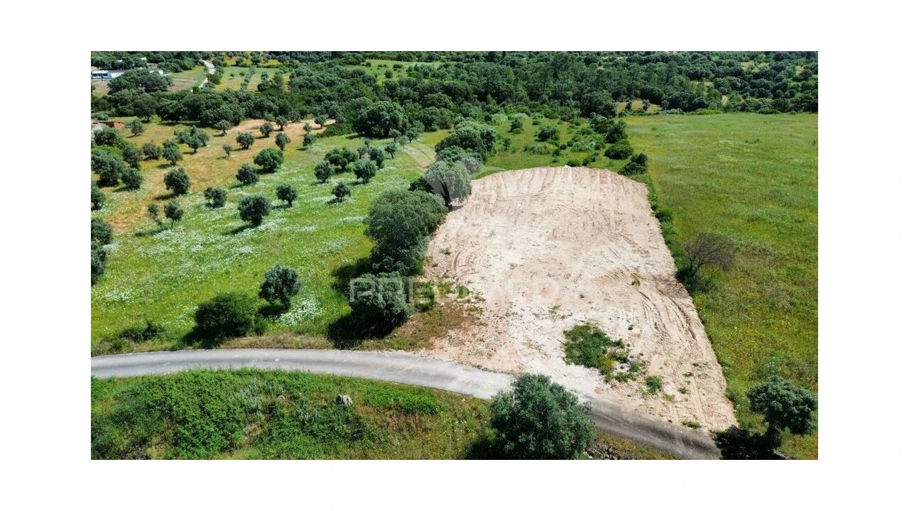 Terreno para Venda em Brogueira, Parceiros de Igreja e Alcorochel Foto 6