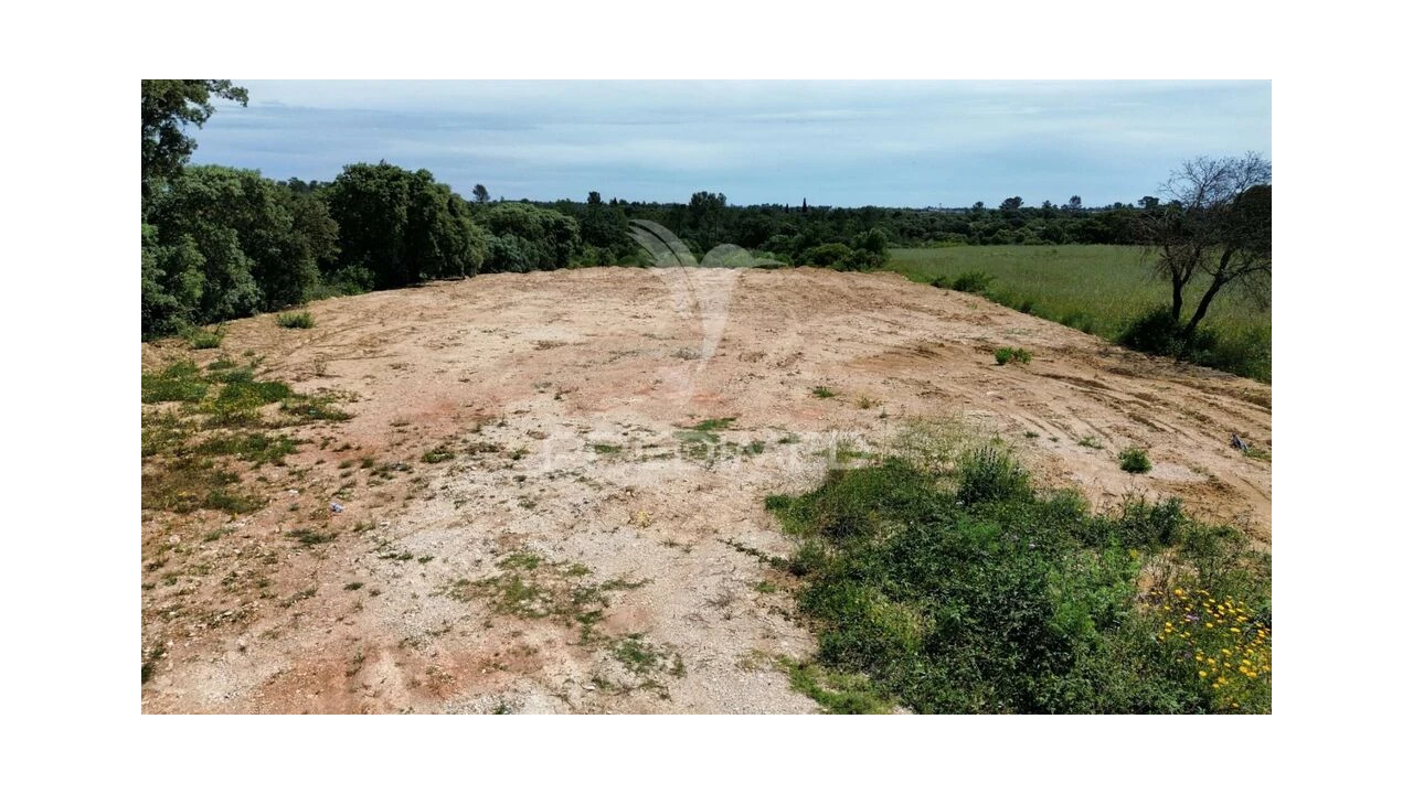Terreno para Venda em Brogueira, Parceiros de Igreja e Alcorochel Foto 16