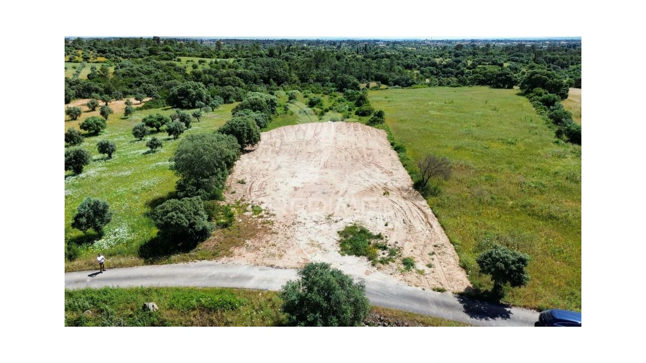 Terreno para Venda em Brogueira, Parceiros de Igreja e Alcorochel Foto 4