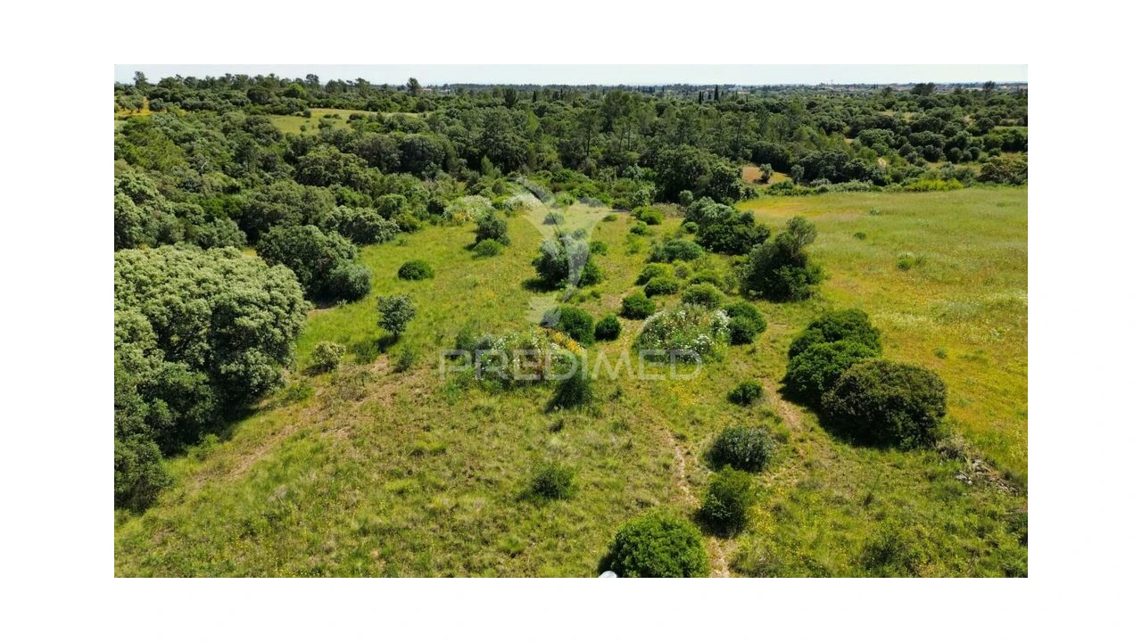 Terreno para Venda em Brogueira, Parceiros de Igreja e Alcorochel Foto 17