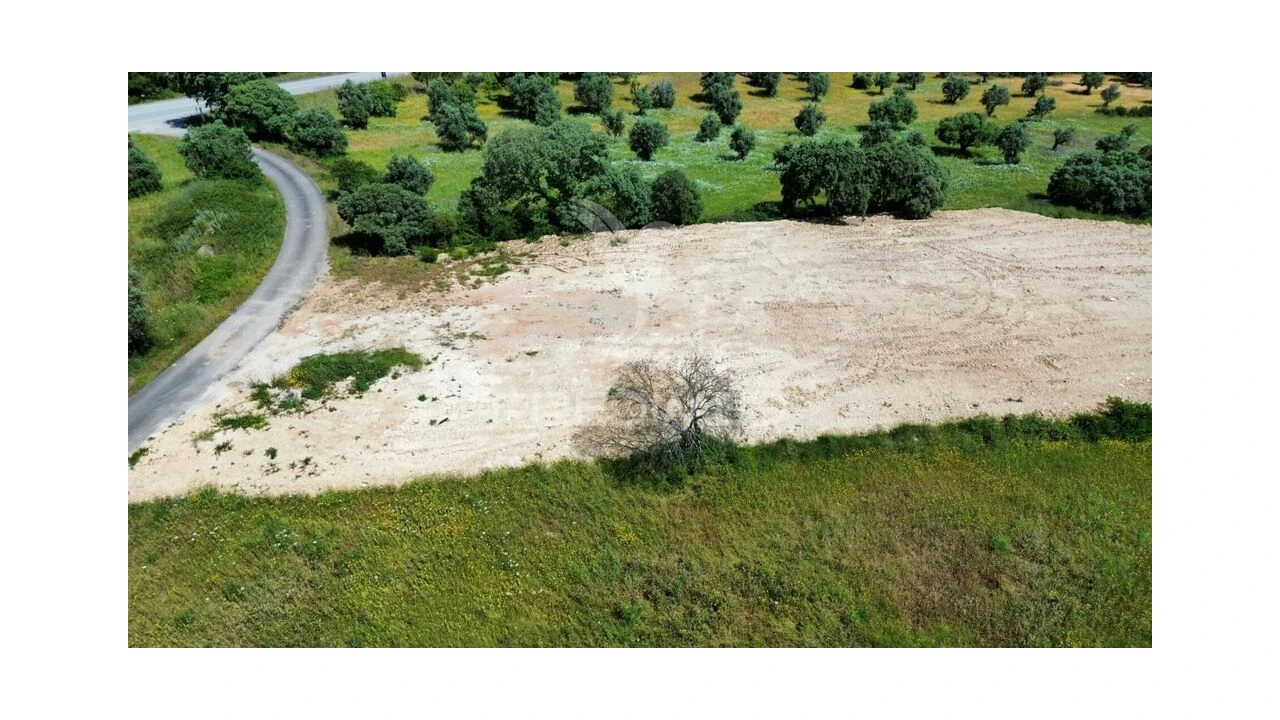 Terreno para Venda em Brogueira, Parceiros de Igreja e Alcorochel Foto 3