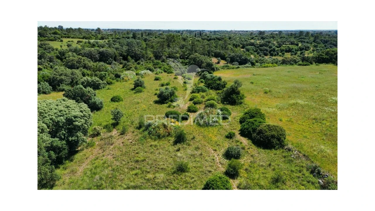 Terreno para Venda em Brogueira, Parceiros de Igreja e Alcorochel Foto 19