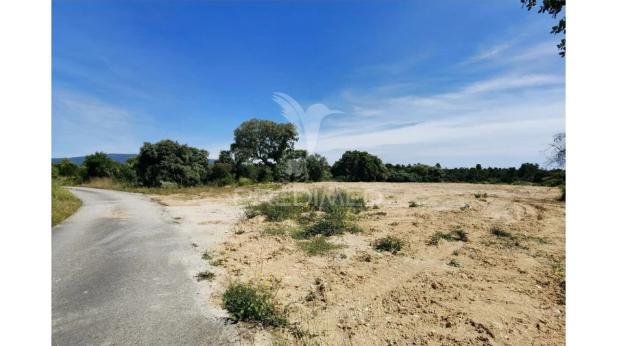 Terreno para Venda em Brogueira, Parceiros de Igreja e Alcorochel Foto 13