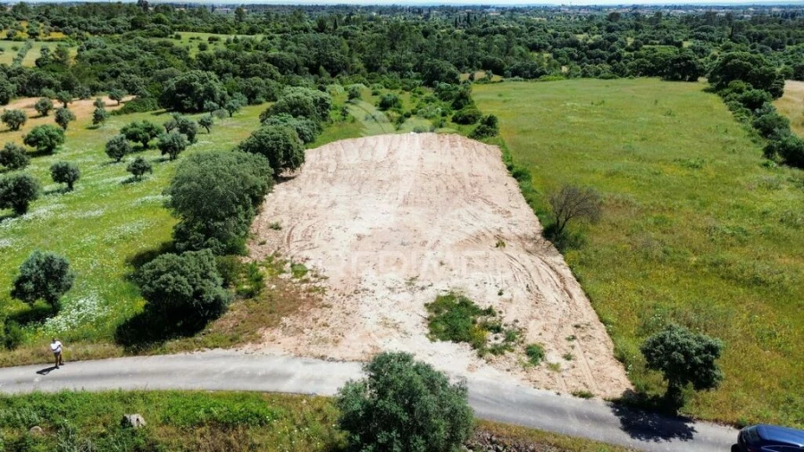 Terreno para Venda em Brogueira, Parceiros de Igreja e Alcorochel Foto 4