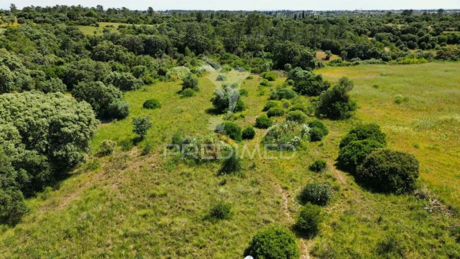 Terreno para Venda em Brogueira, Parceiros de Igreja e Alcorochel Foto 17