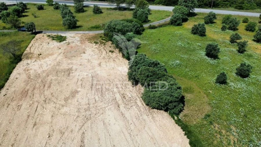Terreno para Venda em Brogueira, Parceiros de Igreja e Alcorochel Foto 8