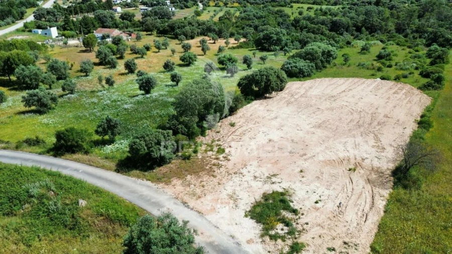 Terreno para Venda em Brogueira, Parceiros de Igreja e Alcorochel Foto 1