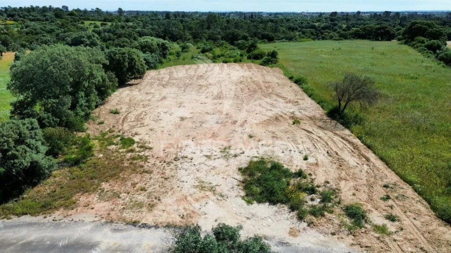 Terreno para Venda em Brogueira, Parceiros de Igreja e Alcorochel Foto 9
