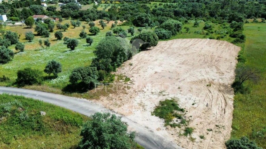 Terreno para Venda em Brogueira, Parceiros de Igreja e Alcorochel Foto 14