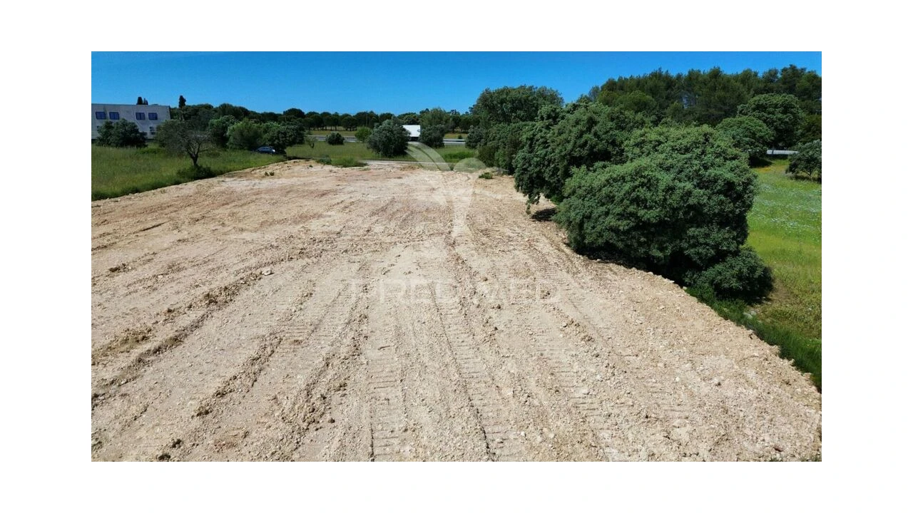 Terreno para Venda em Brogueira, Parceiros de Igreja e Alcorochel Foto 11