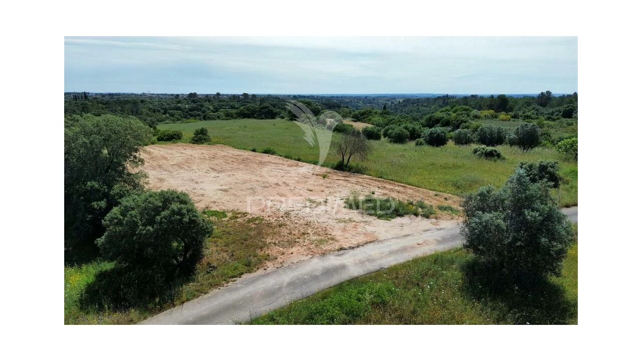 Terreno para Venda em Brogueira, Parceiros de Igreja e Alcorochel Foto 15
