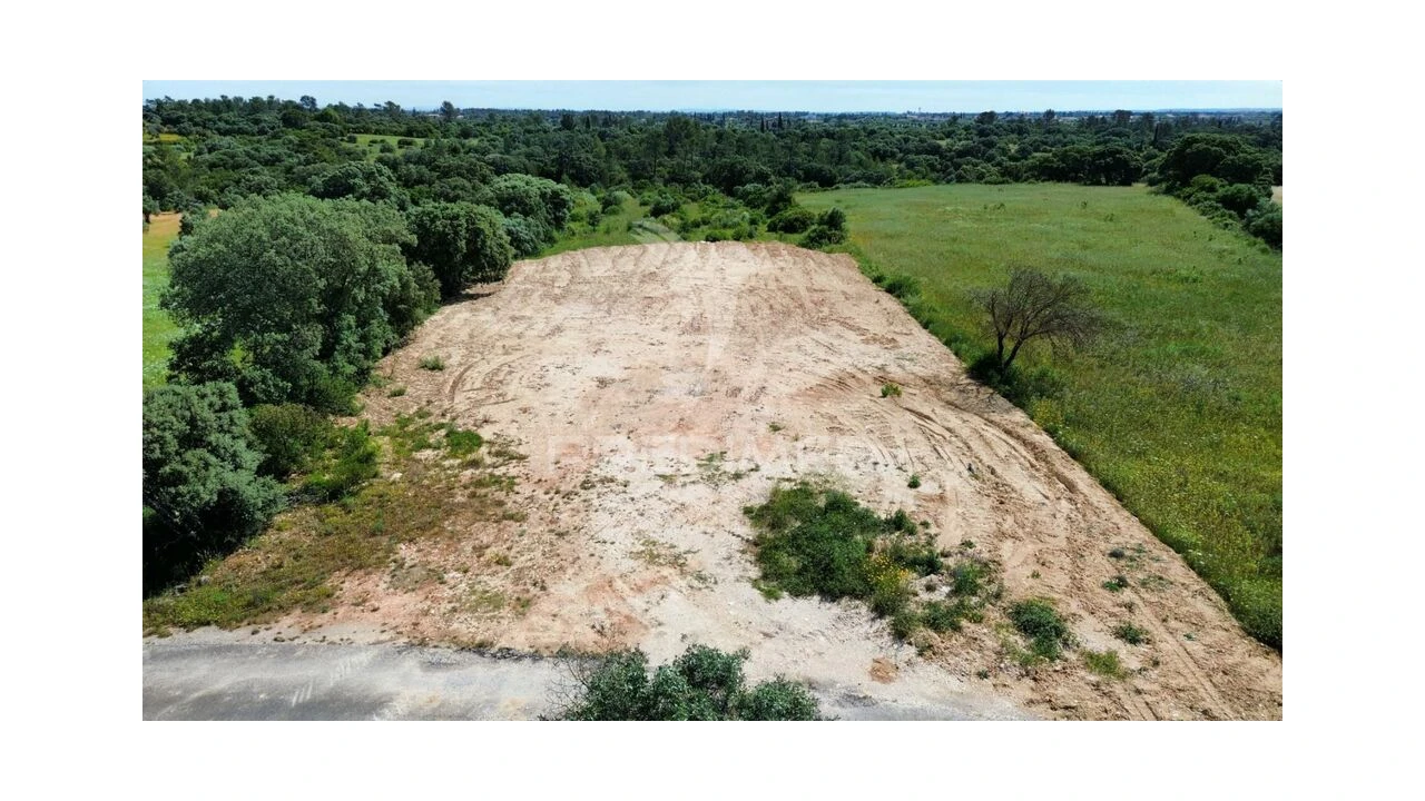 Terreno para Venda em Brogueira, Parceiros de Igreja e Alcorochel Foto 5