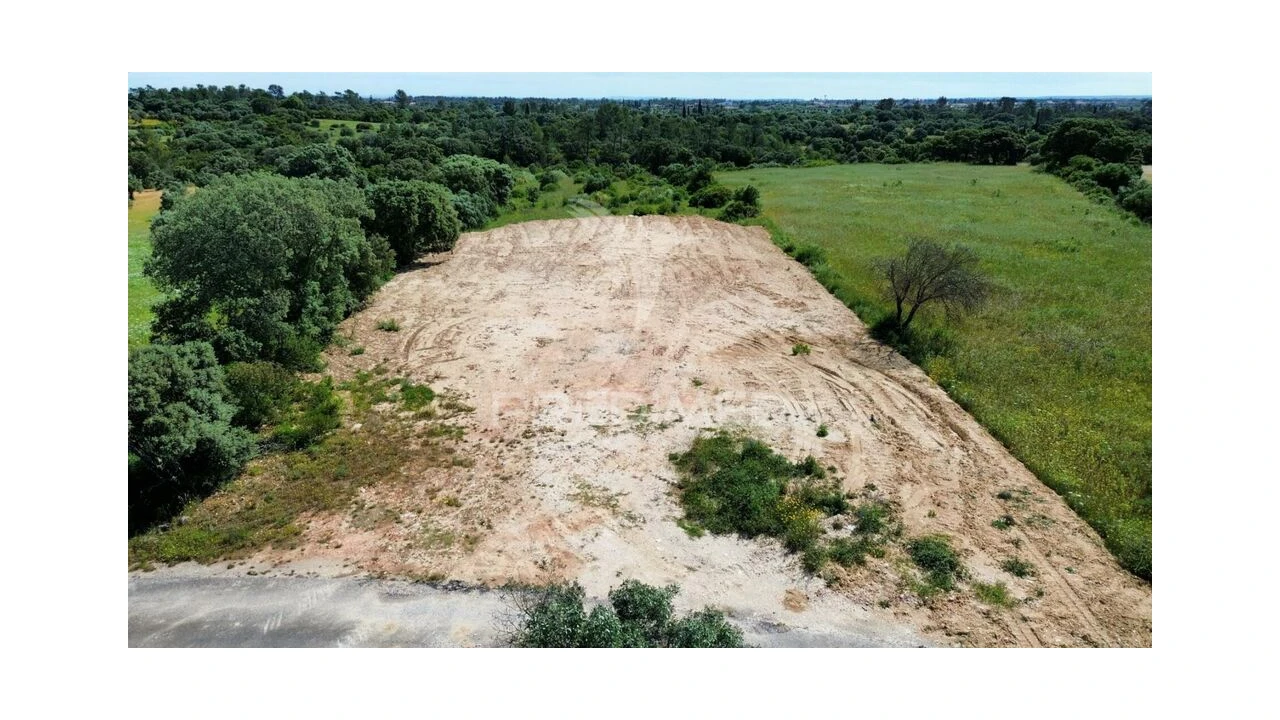 Terreno para Venda em Brogueira, Parceiros de Igreja e Alcorochel Foto 9
