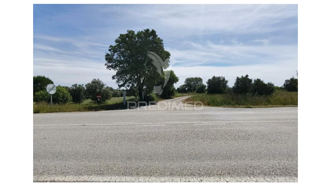 Terreno para Venda em Brogueira, Parceiros de Igreja e Alcorochel Foto 20