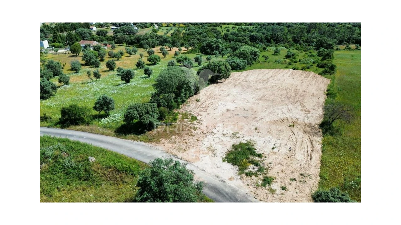 Terreno para Venda em Brogueira, Parceiros de Igreja e Alcorochel Foto 14