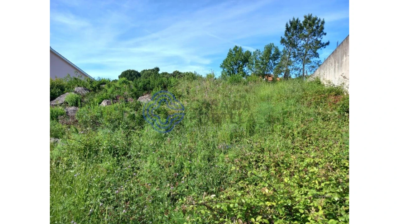 Terreno para Venda em Serra e Junceira Foto 6
