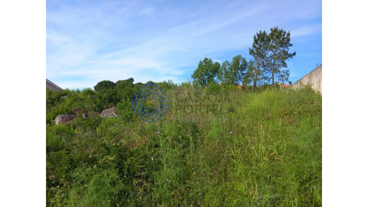 Terreno para Venda em Serra e Junceira Foto 9