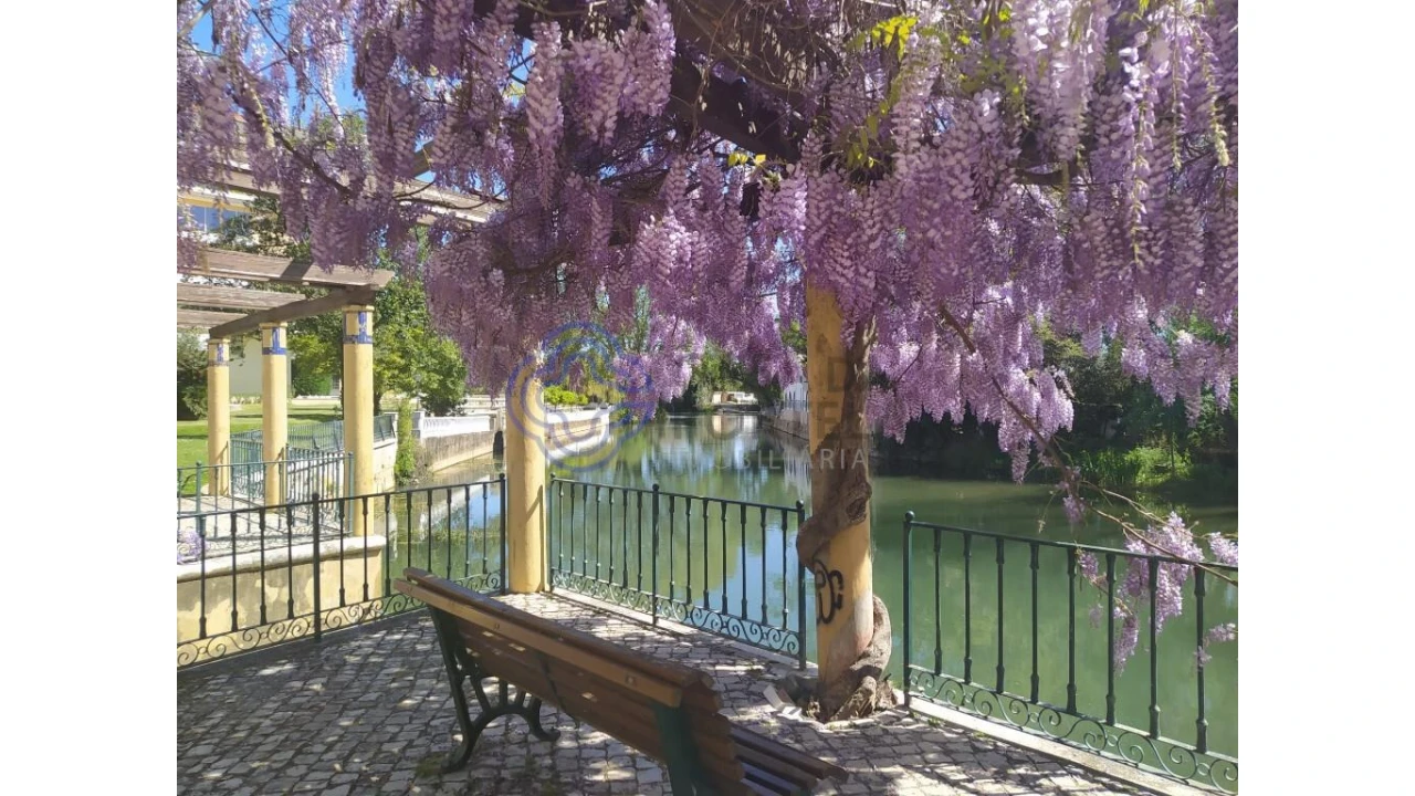 Terreno para Venda em Serra e Junceira Foto 12