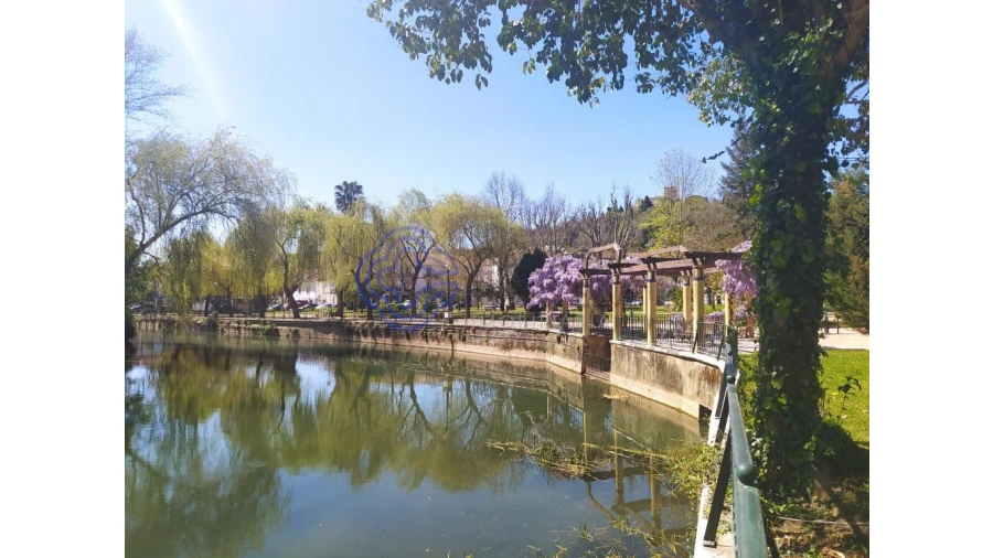Terreno para Venda em Serra e Junceira Foto 14