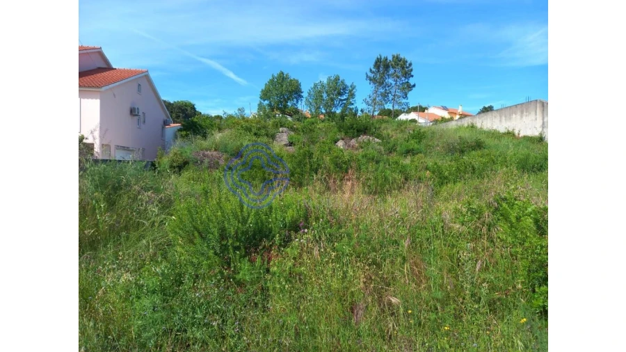 Terreno para Venda em Serra e Junceira Foto 4