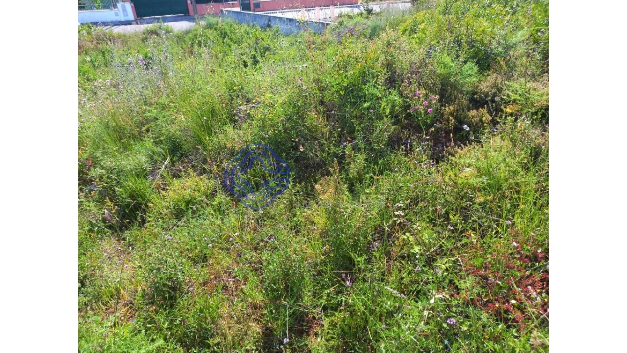 Terreno para Venda em Serra e Junceira Foto 7