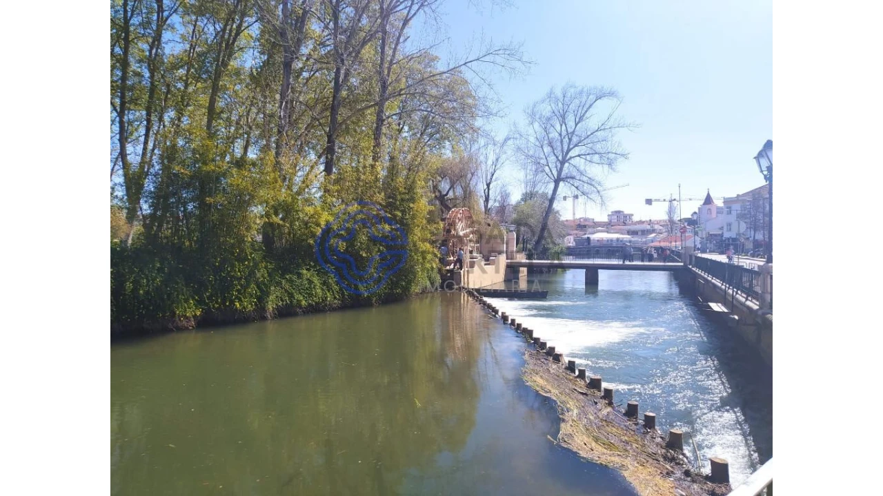 Terreno para Venda em Serra e Junceira Foto 17