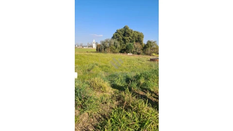 Terreno para Venda em Glória e Vera Cruz