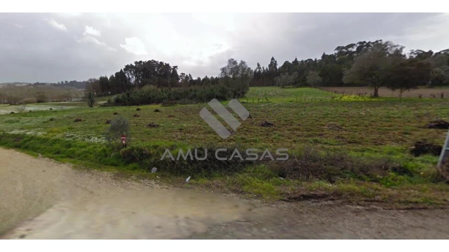 Terreno para Venda em Glória e Vera Cruz Foto 2