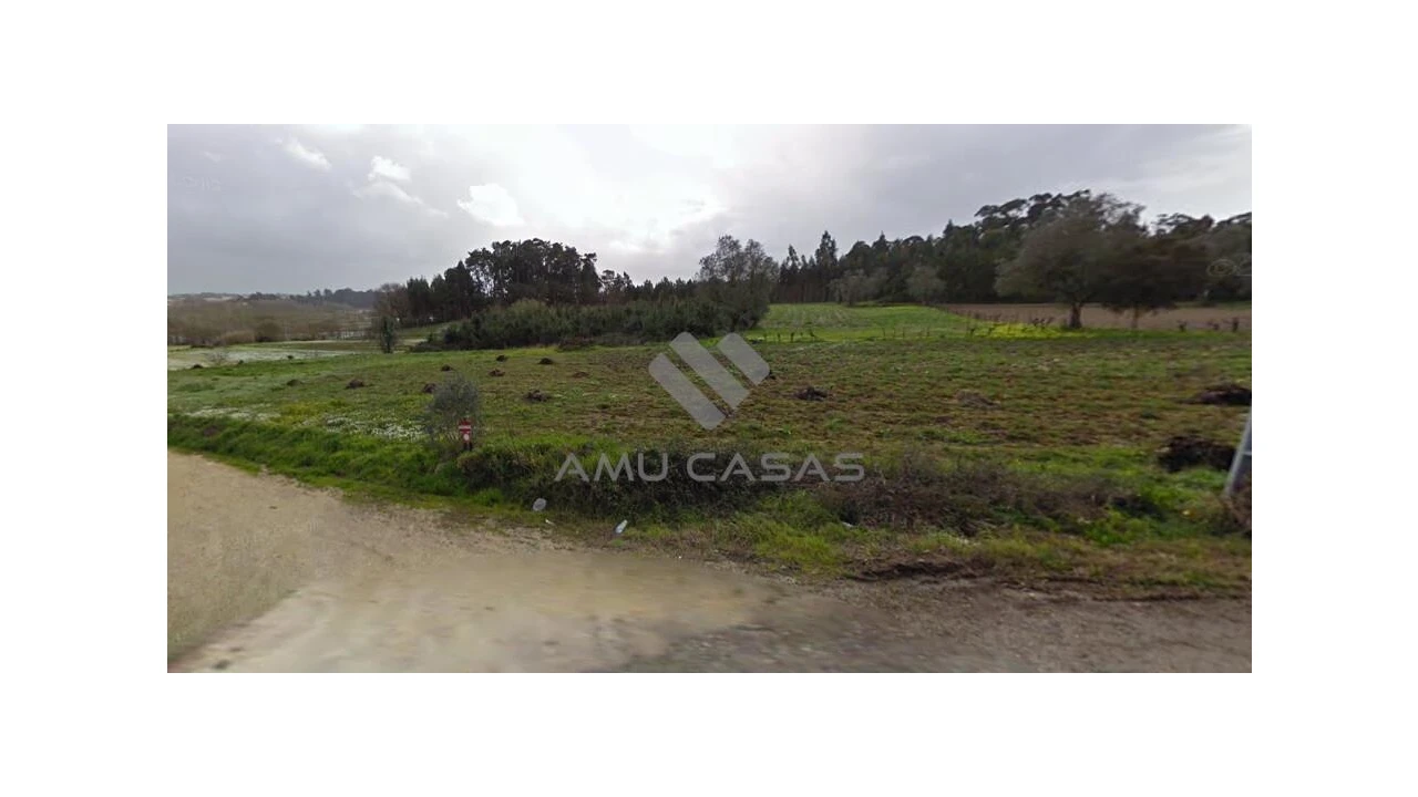 Terreno para Venda em Glória e Vera Cruz Foto 2