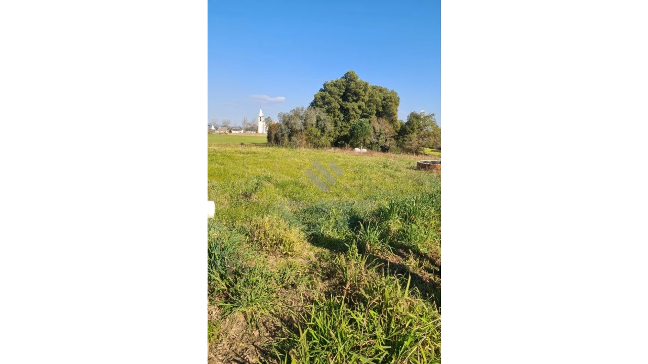 Terreno para Venda em Glória e Vera Cruz Foto 3