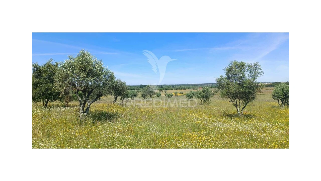 Terreno para Venda em Tolosa Foto 4