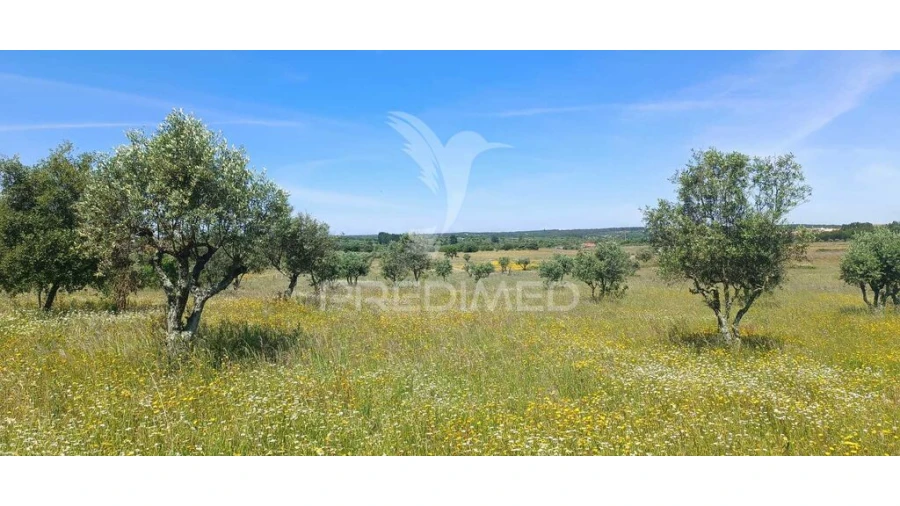 Terreno para Venda em Tolosa Foto 4