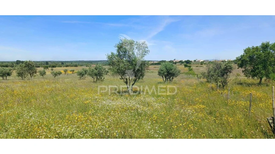 Terreno para Venda em Tolosa Foto 3