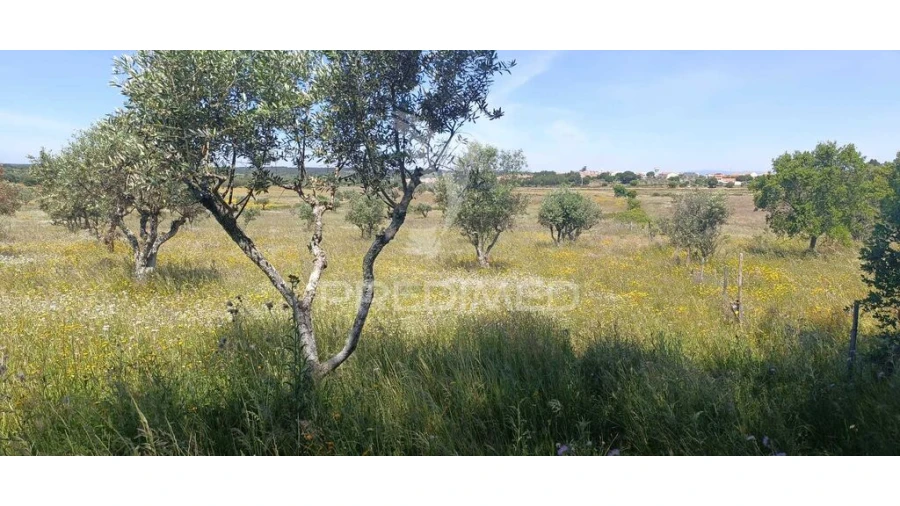 Terreno para Venda em Tolosa Foto 2