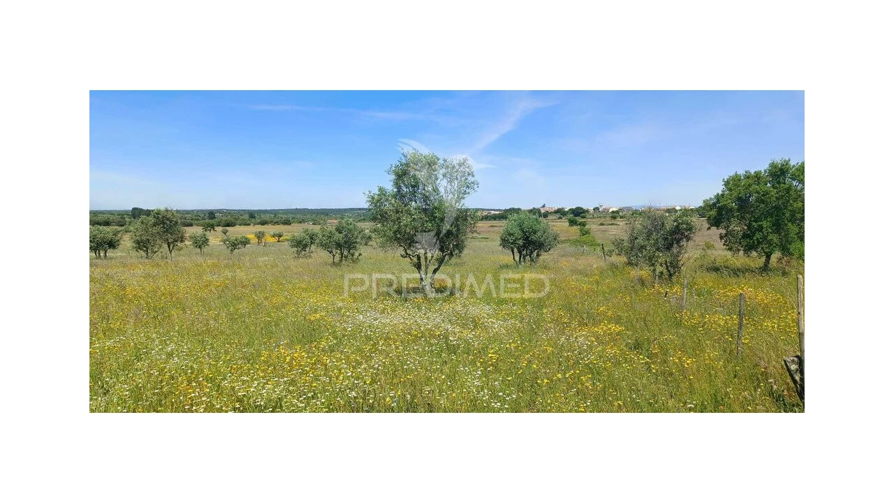 Terreno para Venda em Tolosa Foto 3