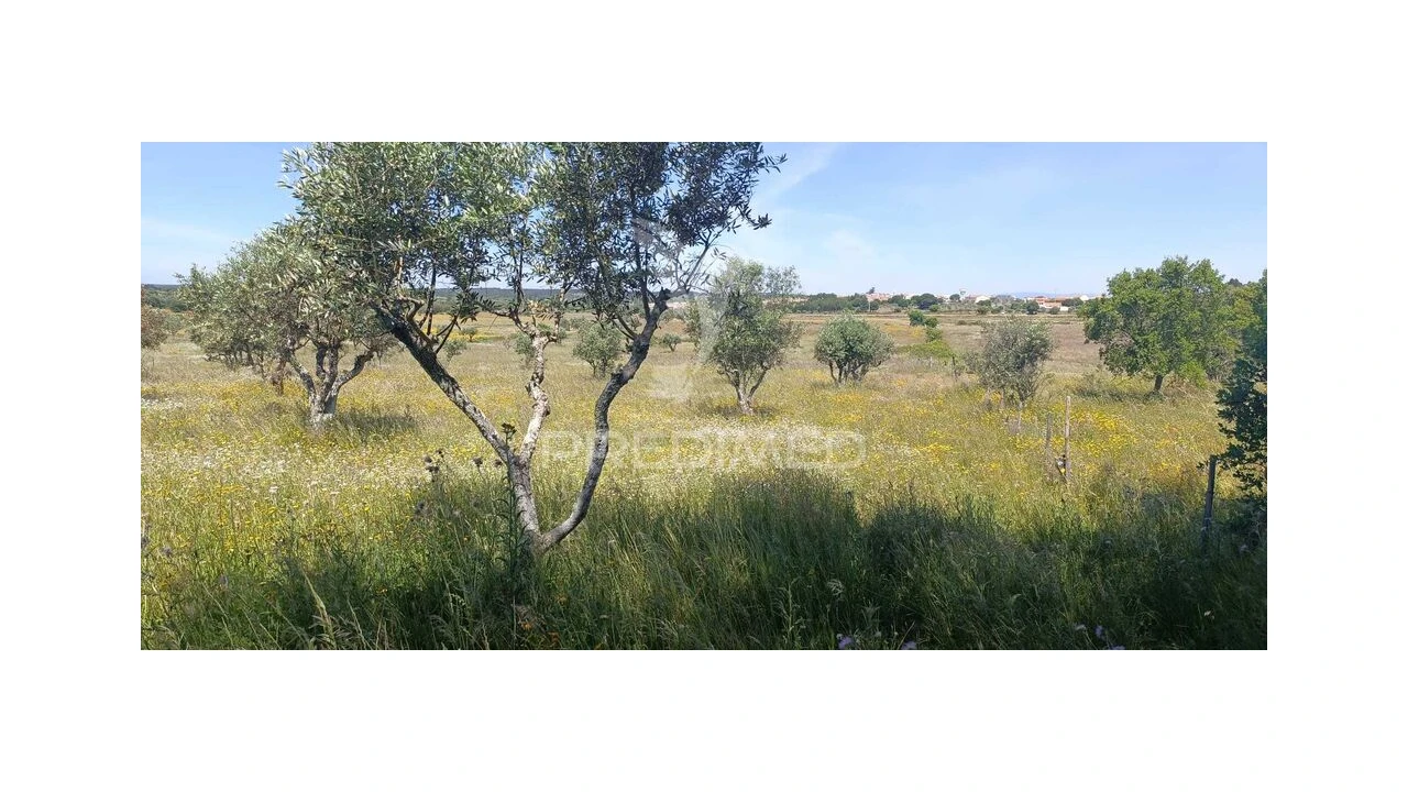 Terreno para Venda em Tolosa Foto 2