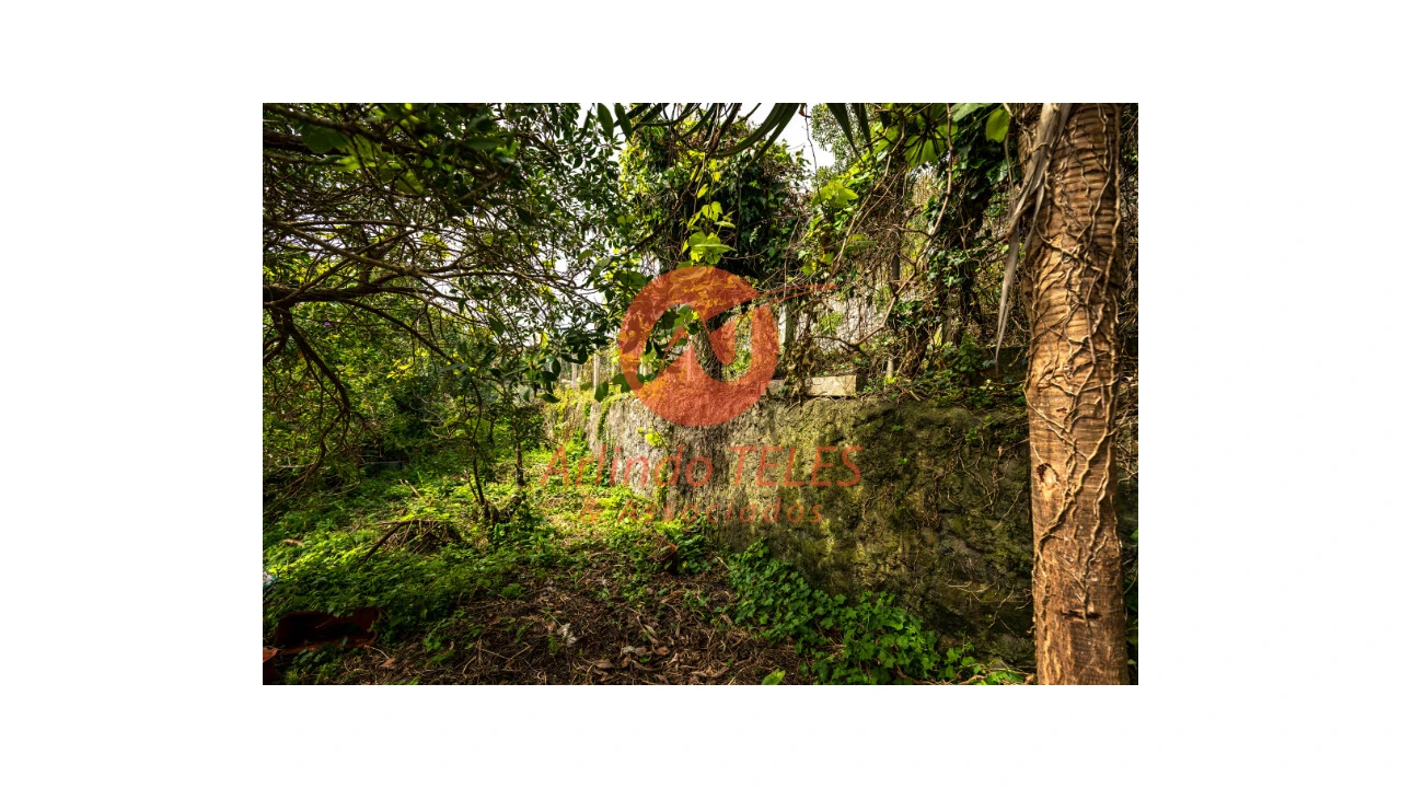 Moradia T4 para Venda em Angra (São Pedro) Foto 51