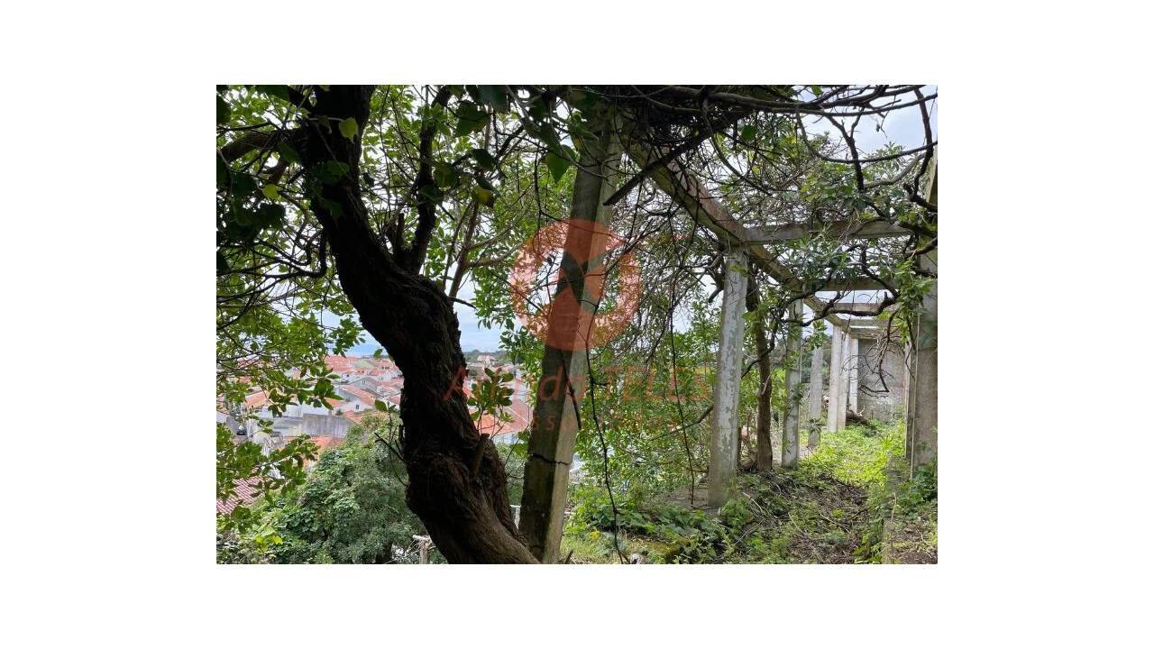 Moradia T4 para Venda em Angra (São Pedro) Foto 18